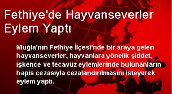 Fethiye'de Hayvanseverler Eylem Yaptı