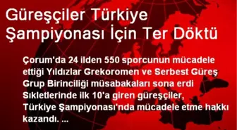 Güreşçiler Türkiye Şampiyonası İçin Ter Döktü