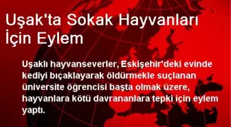 Uşak'ta Sokak Hayvanları İçin Eylem