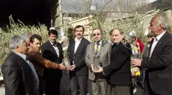 Aydın Merkez Köylerine Zeytin ve Ceviz Fidanı Dağıtıldı