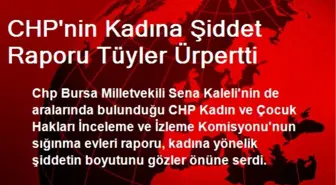 CHP'nin Kadına Şiddet Raporu Tüyler Ürpertti