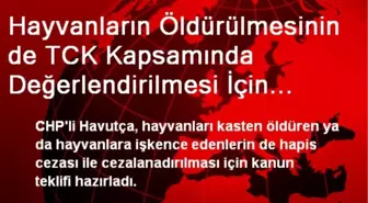 Hayvanların Öldürülmesinin de TCK Kapsamında Değerlendirilmesi İçin Kanun Teklifi