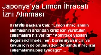 Japonya'ya Limon İhracatı İzni Alınması