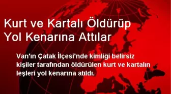 Kurt ve Kartalı Öldürüp Yol Kenarına Attılar