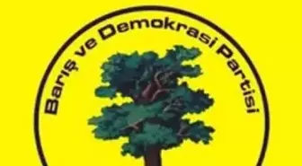 Batman'da BDP Meclis Üyeleri Belirlendi