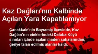 Kaz Dağlarının Kalbinde Açılan Yara Kapatılamıyor