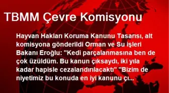 TBMM Çevre Komisyonu