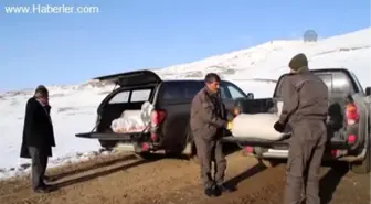 Yaban hayvanları için doğaya yem bıraktılar -