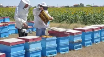 Gümüşhane'de Arıcılar Destekleniyor