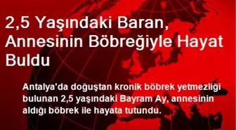 2,5 Yaşındaki Baran, Annesinin Böbreğiyle Hayat Buldu