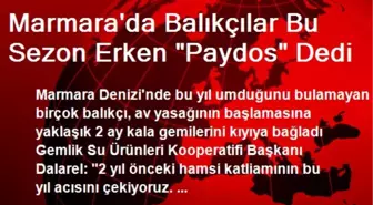 Marmara'da Balıkçılar Bu Sezon Erken 'Paydos' Dedi