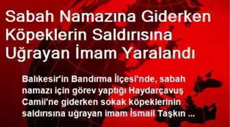 Sabah Namazına Giderken Köpeklerin Saldırısına Uğrayan İmam Yaralandı