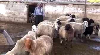 Rehine operasyonu -