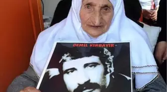 Diyarbakır'da '33 Yıllık Direniş Berfo Ana' Belgeseli