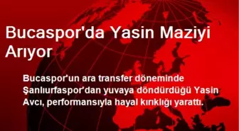 Bucaspor'da Yasin Maziyi Arıyor