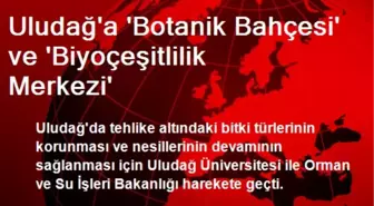 Uludağ'a 'Botanik Bahçesi' ve 'Biyoçeşitlilik Merkezi'