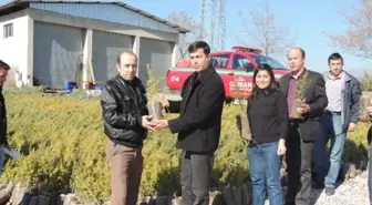 Bucak Orman İşletme Müdürlüğü Ücretsiz Fidan Dağıtıyor