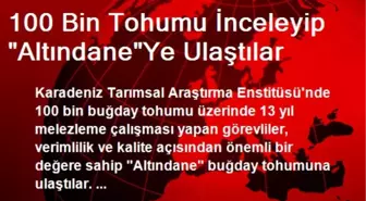 100 Bin Tohumu İnceleyip 'Altındane'Ye Ulaştılar