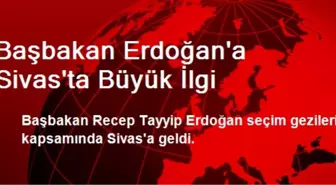 Başbakan Erdoğan'a Sivas'ta Büyük İlgi