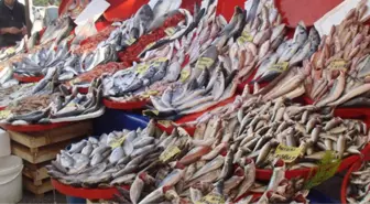 Balığın Fiyatı Denizden Sofraya Gelinceye Kadar Katlanıyor