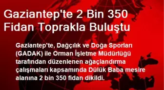 Gaziantep'te 2 Bin 350 Fidan Toprakla Buluştu