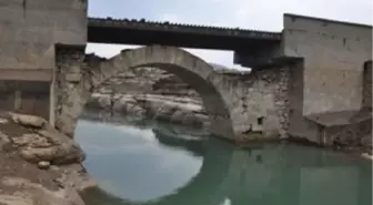 'Pıra Kurt' Koruma Altına Alınsın