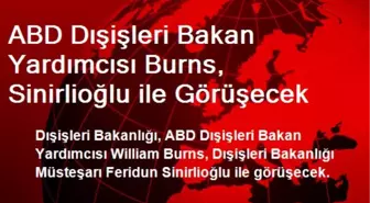 ABD Dışişleri Bakan Yardımcısı Burns, Sinirlioğlu ile Görüşecek