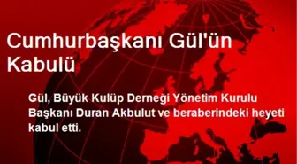 Cumhurbaşkanı Gül'ün Kabulü