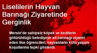 Liselilerin Hayvan Barınağı Ziyaretinde Gerginlik