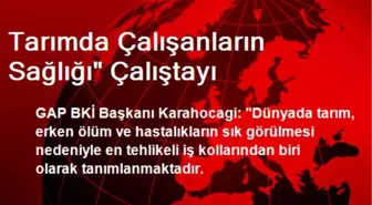 Tarımda Çalışanların Sağlığı' Çalıştayı