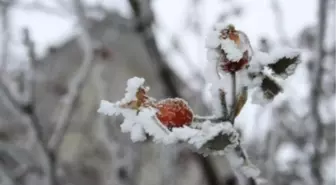 İzmir'de Don Uyarısı
