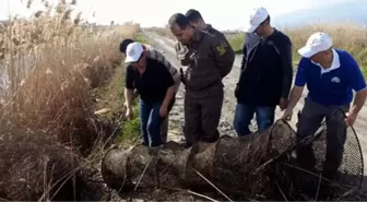 Su Ürünleri Kontrol ve Denetimleri Jandarma Çevre Timi ile Yapıldı