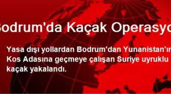 Bodrum'da Kaçak Operasyonu