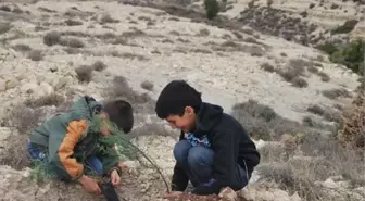 İyider'in Fidan Dikme Etkinliği Renkli Görüntülere Sahne Oldu