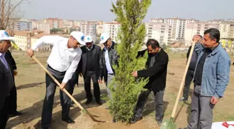 Yaşar Kemal Ormanına 500 Çam Dikildi