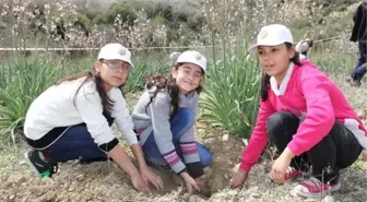 Yetim Çocuklar İçin Bin 500 Fidan Dikildi