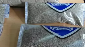 Kocaeli'de Bin 75 Gram Bonzai Ele Geçirildi