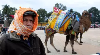 4. Bayraklı Deve Güreşi Festivali