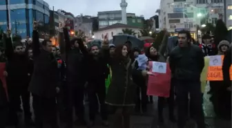 Zonguldak'ta Berkin Elvan Eylemi