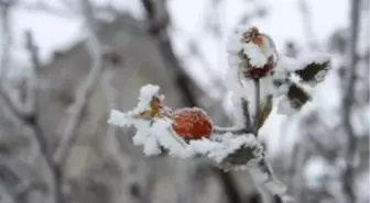 Malatya'da Don Uyarısı