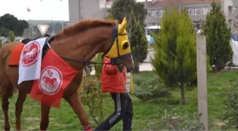 DP'nin Seçim Bürosu Açılışına At Getiren Belediye Başkan Adayı: 'Kırat Sinirden Kızardı'