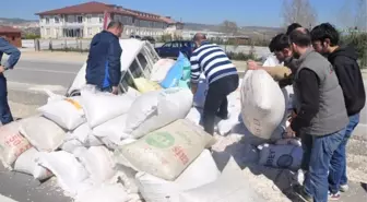 Kazayı Bırakıp Çekirdek Yediler