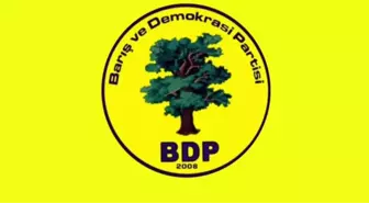 BDP'li Adayın Posterini Yakmaya Çalışanlar Yakalandı