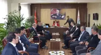 San-İş İnşaat, Organik Zeytinyağı Tesisi İçin Çalışmalarına Başladı