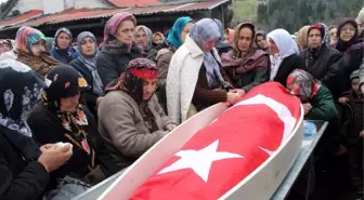 Kars'ta Tüik Bürosuna Saldırı