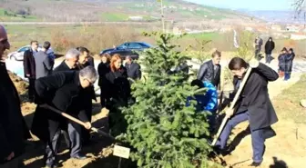 Cumhurbaşkanı Gül adına hatıra ormanı oluşturuldu -