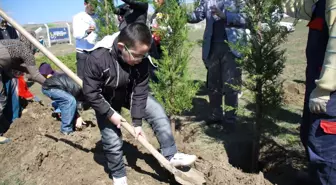 Çubuk'ta 3 Bin Ücretsiz Çam Fidanı Dağıtıldı