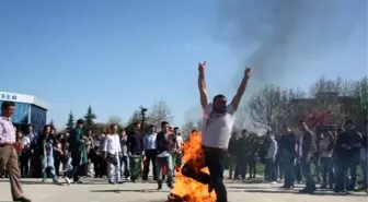 Nevruz Kutlaması