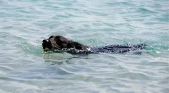 Antalya'da Deniz Sezonu Açıldı