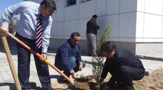 Beyşehir'de Ağaç Dikme Etkinliği